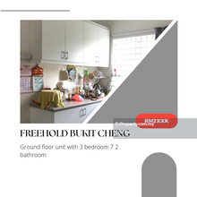 Freehold 100% Full Loan Ground Floor Level Match Value Bukit Cheng 