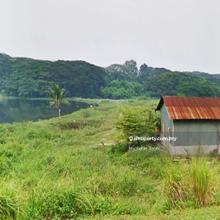Perak Agricultural Land For Rent