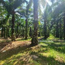Kampung Taboh Naning Alor Gajah