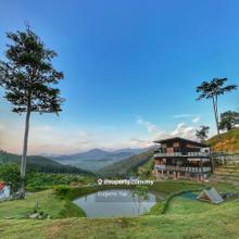 Agriculture land for Sale