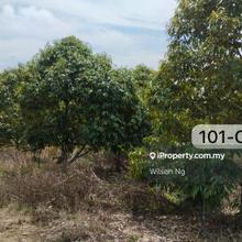 Prime Location Beside Mainroad Durian Musang Land Negeri Sembilan