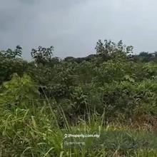 Parit Sikom, Pekan Nanas