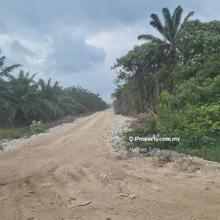 Nice Agriculture For Rent 