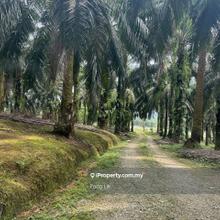 Agriculture Land  @ Mawai Baru , Kota Tinggi  