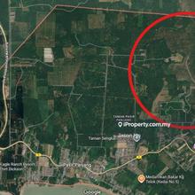 Pasir Panjang 130 Acres Agriculture Land For Sale, Port Dickson