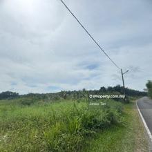 Kampung pendas gelang patah agriculture land for sale