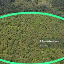 Freehold land and the price are negotiable
