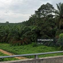 Commercial Land at Kulaijaya