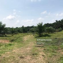 1.505 Acre Agriculture Land
