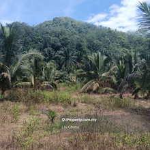 For Sale Coconut farm land 
