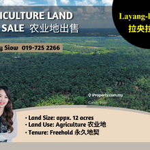 Layang-layang 12 acres Agriculture Land
