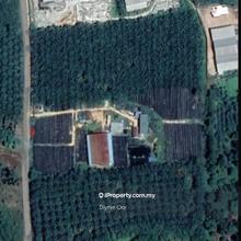 Best Deal Alor Gajah Melaka Agricultural Land 