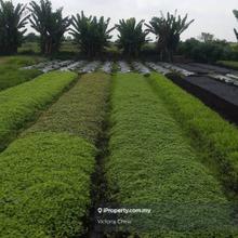 Agricultural land for sale