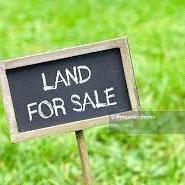 Industrial land for Sale