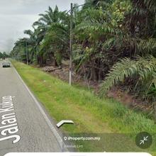 For Sale - 31 Acres Agriculture Land @ Pontian to Kukup Main Roadside