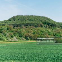 Agriculture land for Sale