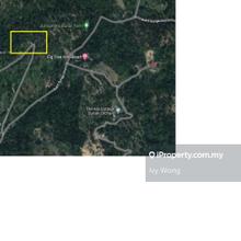 Durian Farm 5.7 Acres For Sale