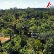 Residential Land at Moyan for Sale 