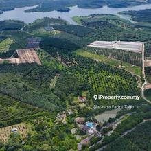 Fully operational resort with ready-built real estate, facilities