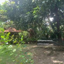 Spacious garden