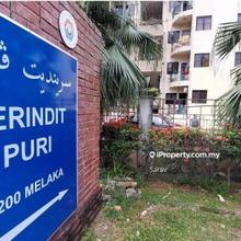 Serindit Puri Apartment Freehold Town Area