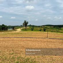 135.5 Acres Freehold converted Industrial Land For Sale