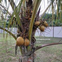 Kampung Rantau Panjang 5.5 Arces Agriculture Land For Sale
