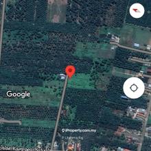 Agriculture land for Sale