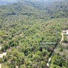 Agriculture land for Sale