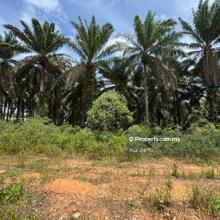 Ulu Choh 2 Acres Zoning Industrial Land Beside Road