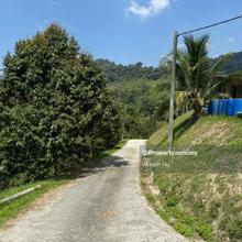 Agriculture land for Sale