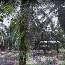 Agriculture land for Sale