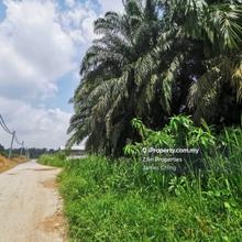 Industrial land for Sale