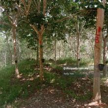 Rubber Estate @ Jerantut, Pahang for Sale