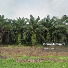 Selangor Land