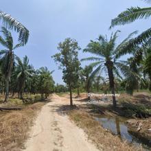 Land for Sale at Bukit Minyak , Bukit mertajam