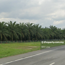 Agriculture Land (Heavy Industrial Zone) For Sale @ Pulau Carey