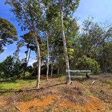 Kuala Kangsar Liman Kati Freehold Agricultural Land 