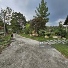 5.3 acres non bumi orchard with pond and bungalow in Hulu Langat