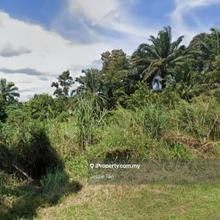 For sale Bt 36 Bukit Batu kulai,Jalan Air Hitam agriculture land