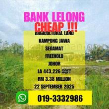 Bank Lelong Freehold Agricultural Land Kampong Jawa Segamat Johor