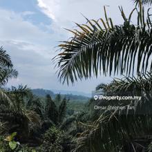 Oil Palm Land @ Rasa, Kuala Kubu Baru, Hulu Selangor