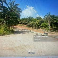 Agriculture (Converted Industrial) land for sale