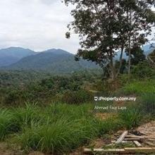 Agriculture Land at Kampung Hulu Rening Batang Kali
