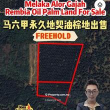Melaka Alor Gajah Rembia Freehold Agriculture Land For Sale 