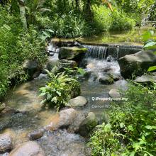 Agriculture land for Sale