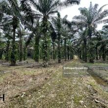Below market Banting Sri Cheeding land industrial zoning freehold sale