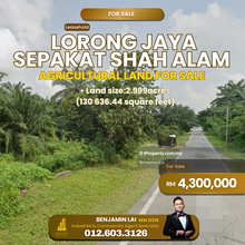 Lorong Jaya Sepakat Shah Alam Agricultural Land For Sale