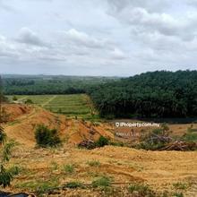 Agriculture land for Sale
