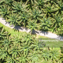 Agricultural land for sale in Sabai, Bentong 